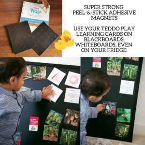 Teddo Playlearning cards on magnetic boards