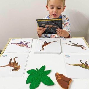 Independent reading with Teddo Play Learning Sets