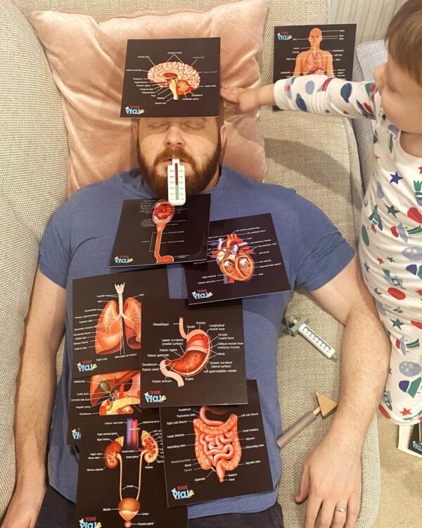 Father and Child Playing Educational Role Play Game using Teddo Play Human Anatomy Learning Kit
