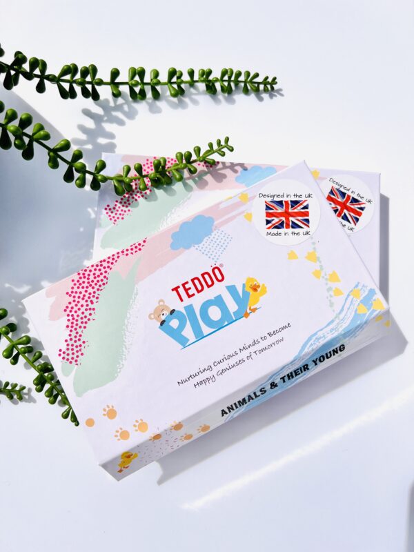 Teddo Play Learning Sets of 20