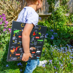 Portable Educational Poster Boards
