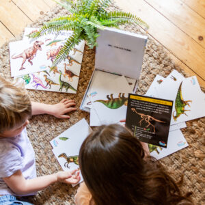 Brother and Sister learning about Dinosaurs together with Teddo Play Dinosaurs set