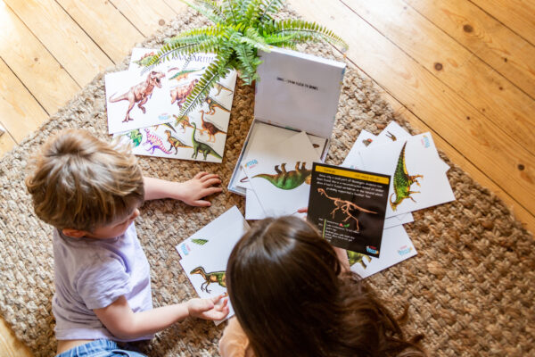 Brother and Sister learning about Dinosaurs together with Teddo Play Dinosaurs set