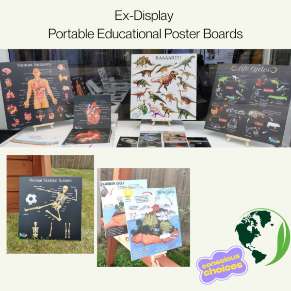 Ex-Display Educational Poster Boards